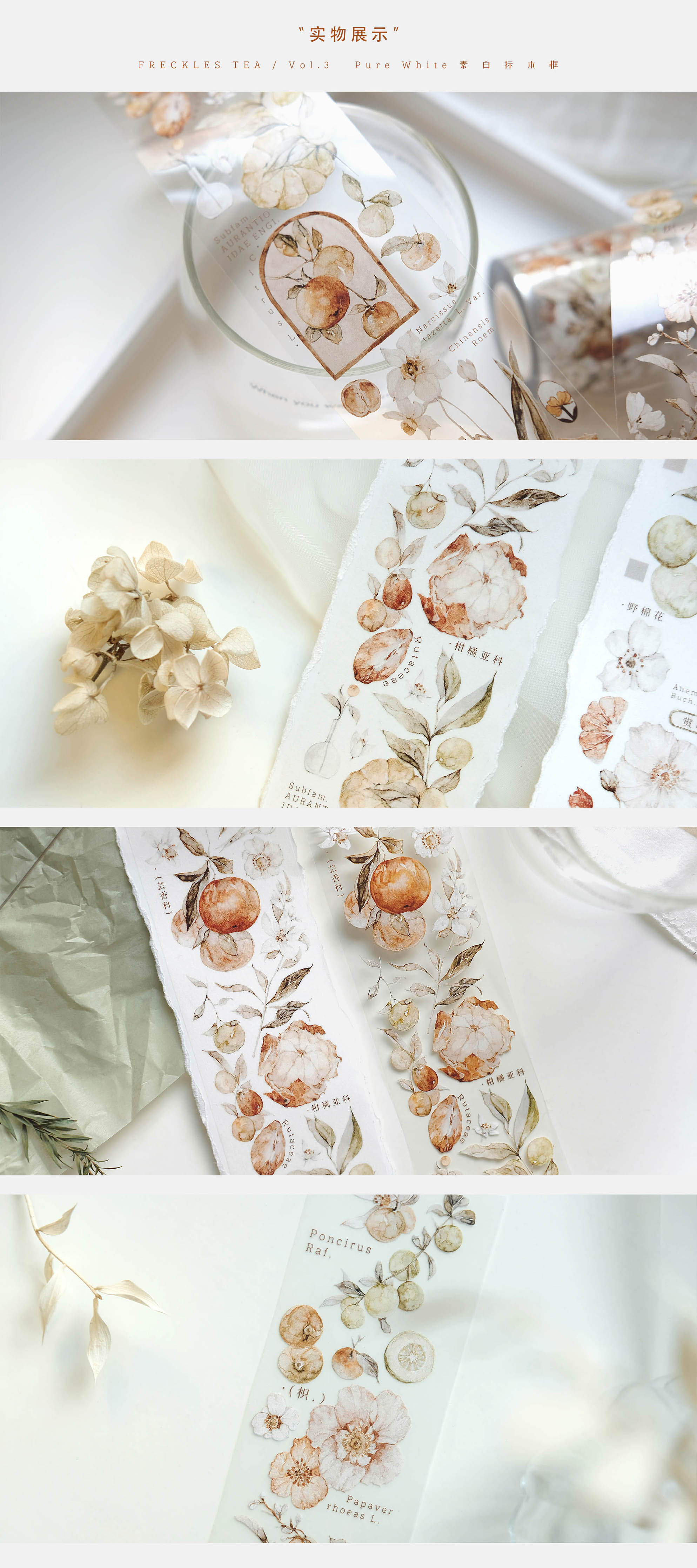 Freckles Tea VOL. 3: Tangerine Masking Tape