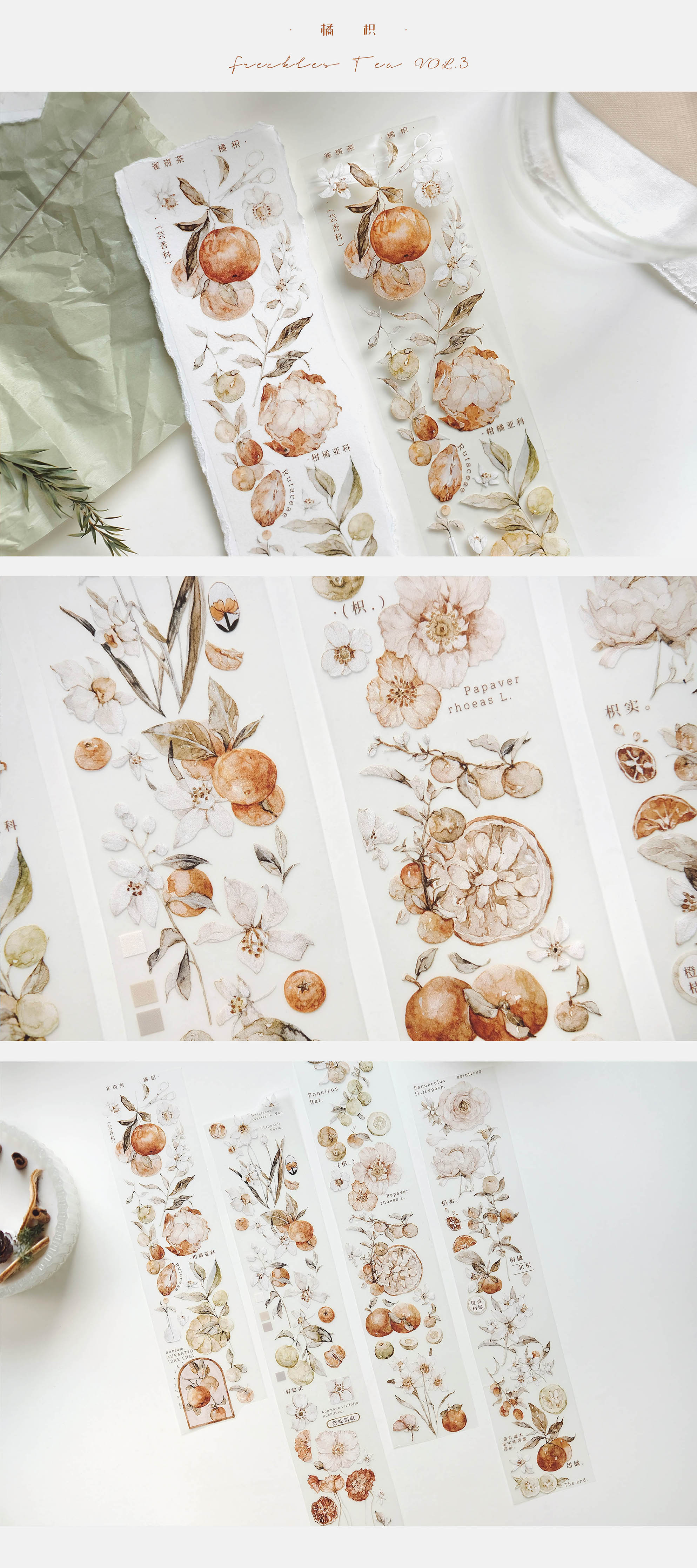 Freckles Tea VOL. 3: Tangerine Masking Tape