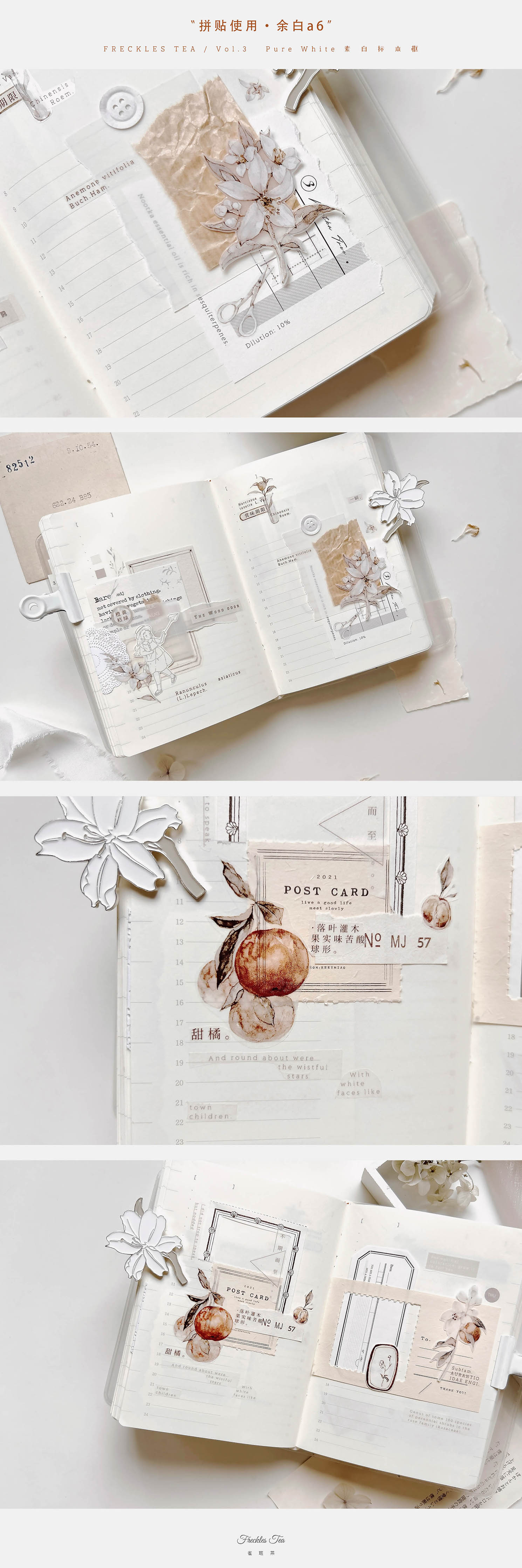 Freckles Tea VOL. 3: Tangerine Masking Tape