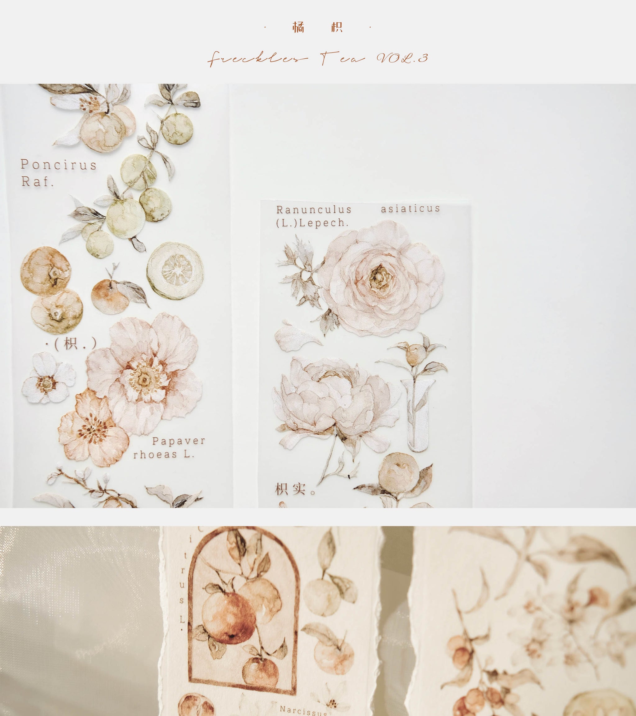 Freckles Tea VOL. 3: Tangerine Masking Tape