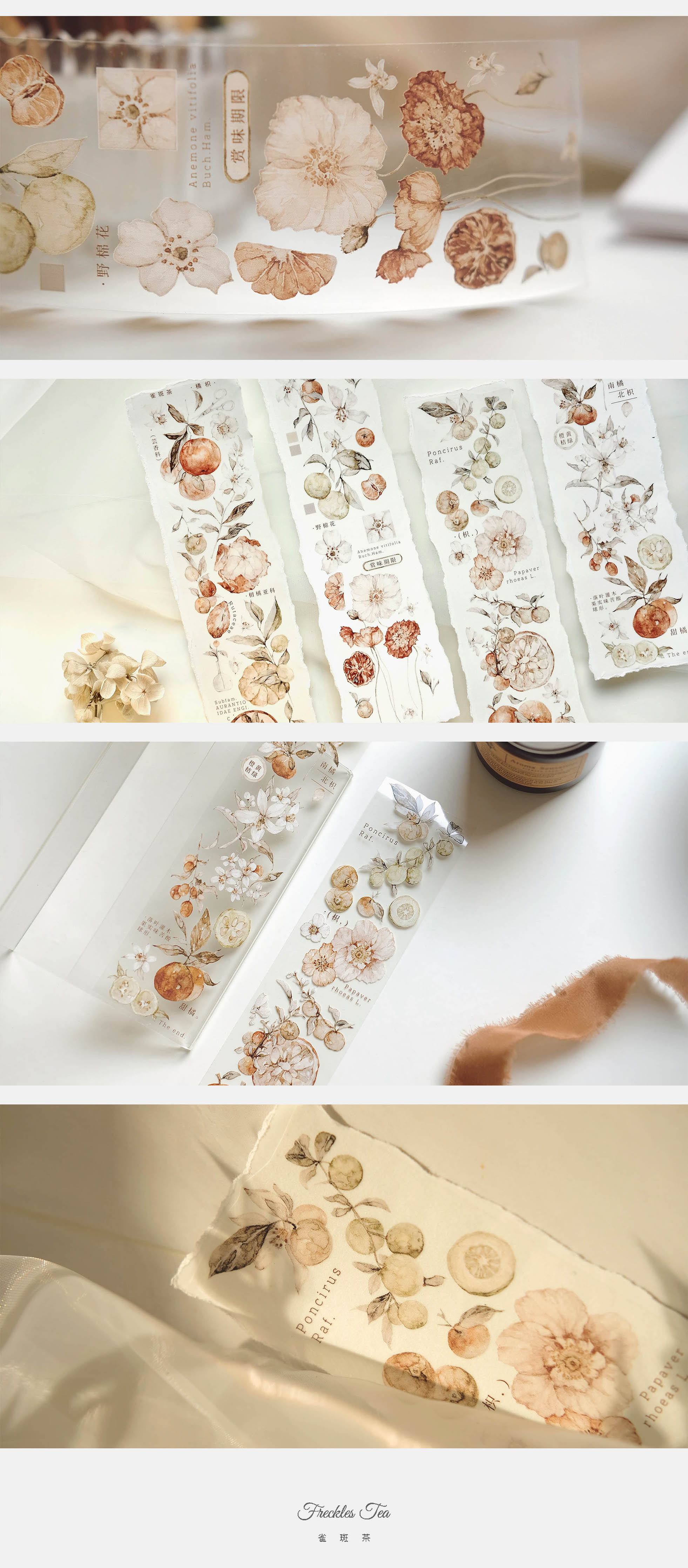 Freckles Tea VOL. 3: Tangerine Masking Tape