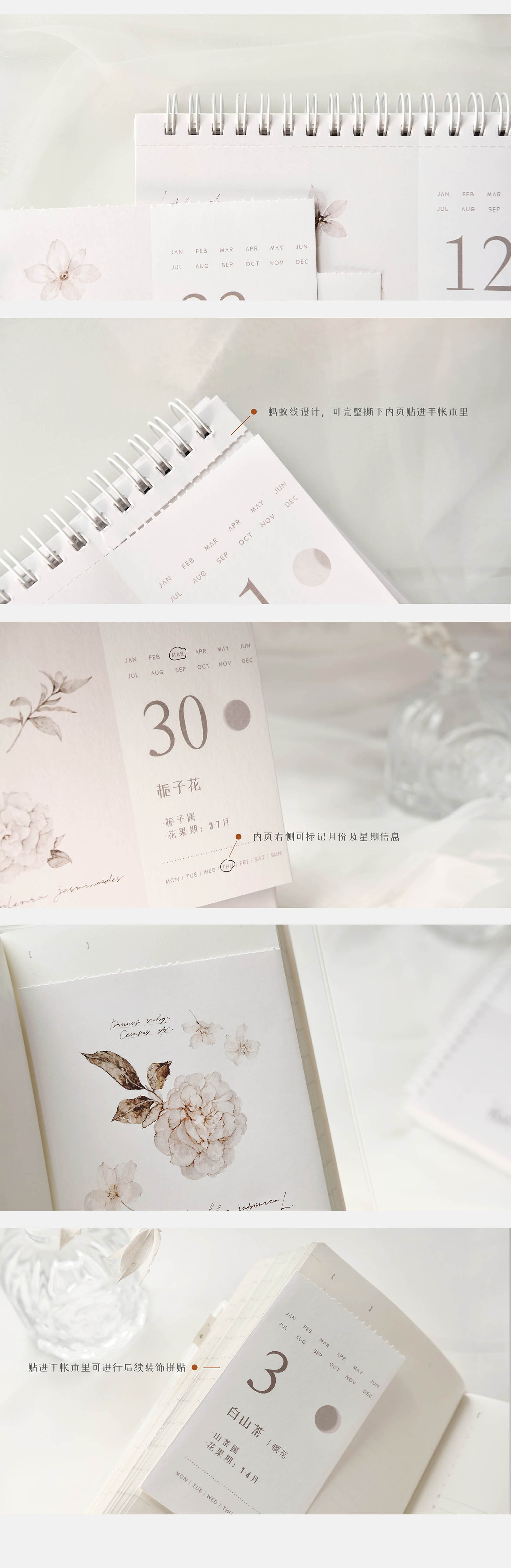 Freckles Tea VOL. 3: Plants Calendar