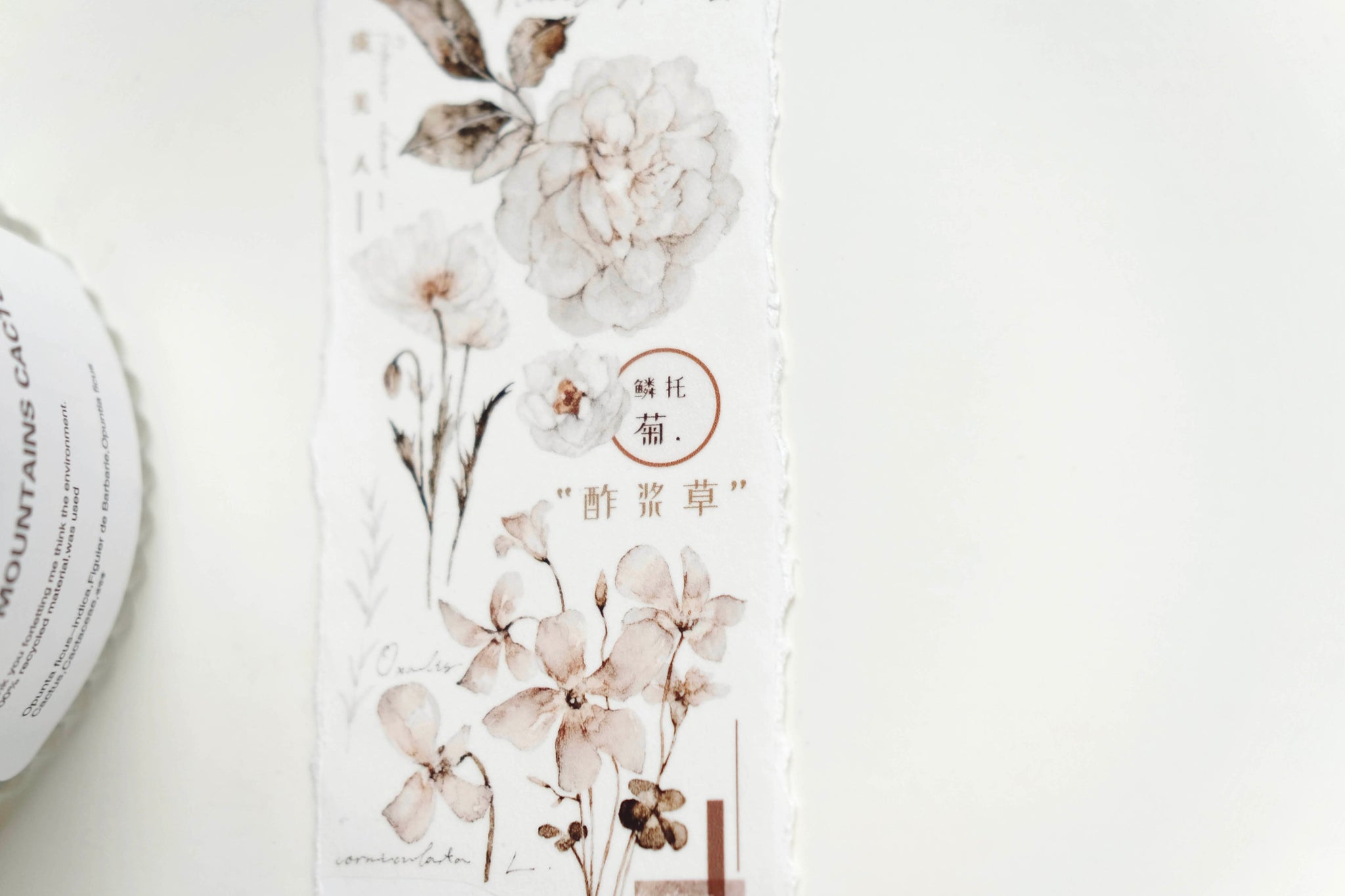 Freckles Tea VOL. 3: Plain White Tea Brown Masking Tape