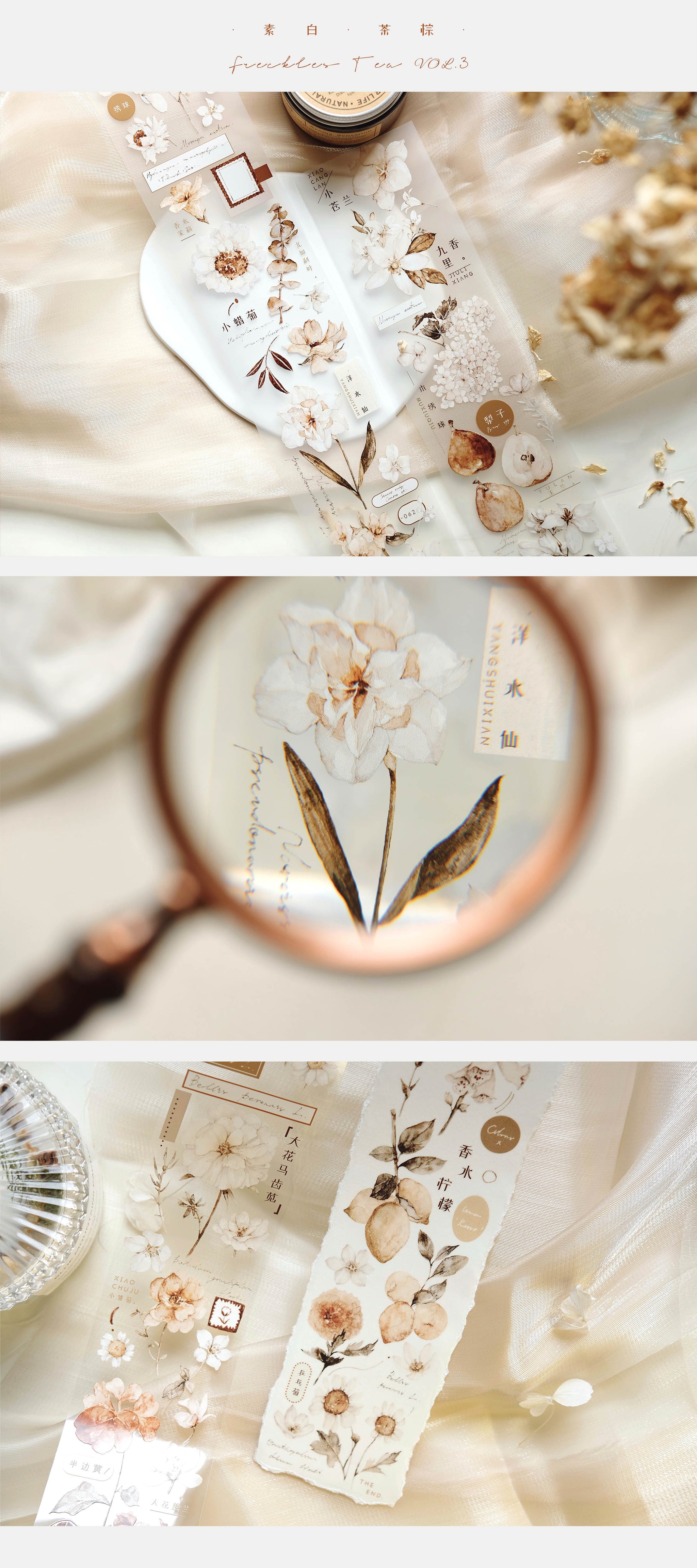 Freckles Tea VOL. 3: Plain White Tea Brown Masking Tape