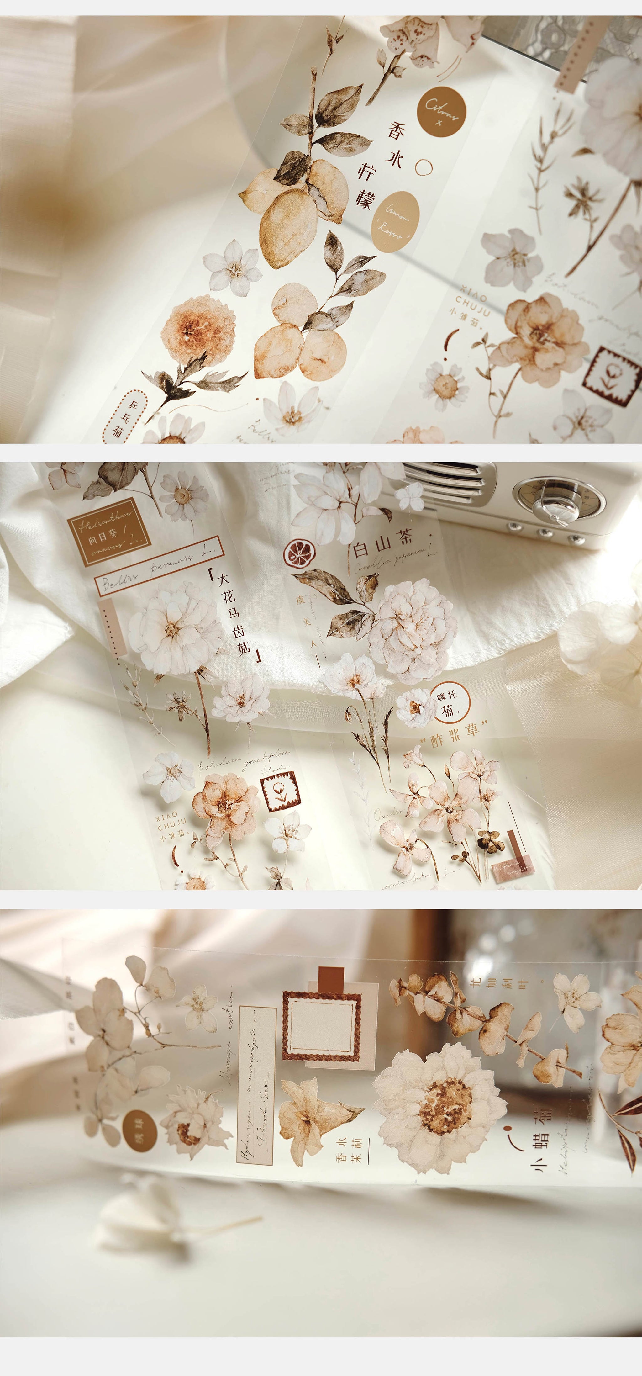 Freckles Tea VOL. 3: Plain White Tea Brown Masking Tape