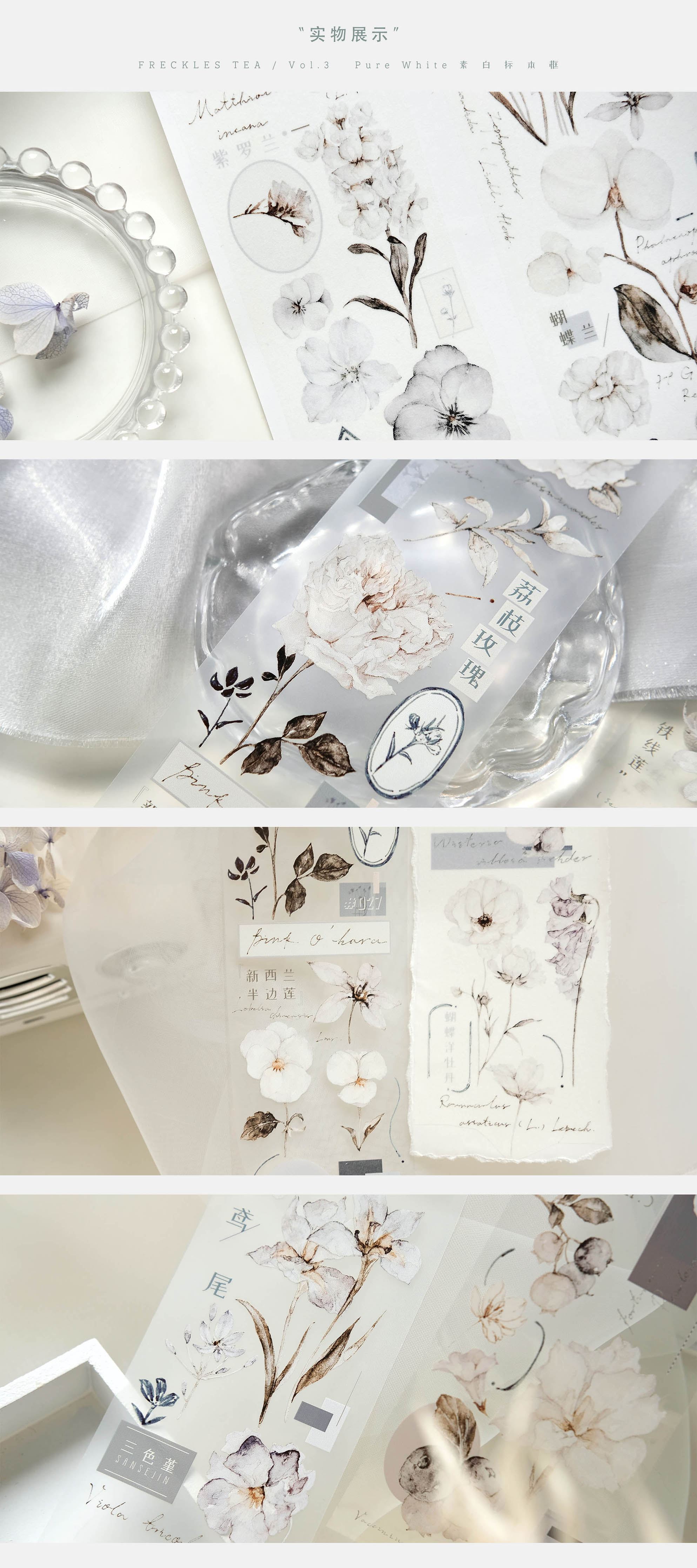 Freckles Tea VOL. 3: Plain White Mist Blue Masking Tape