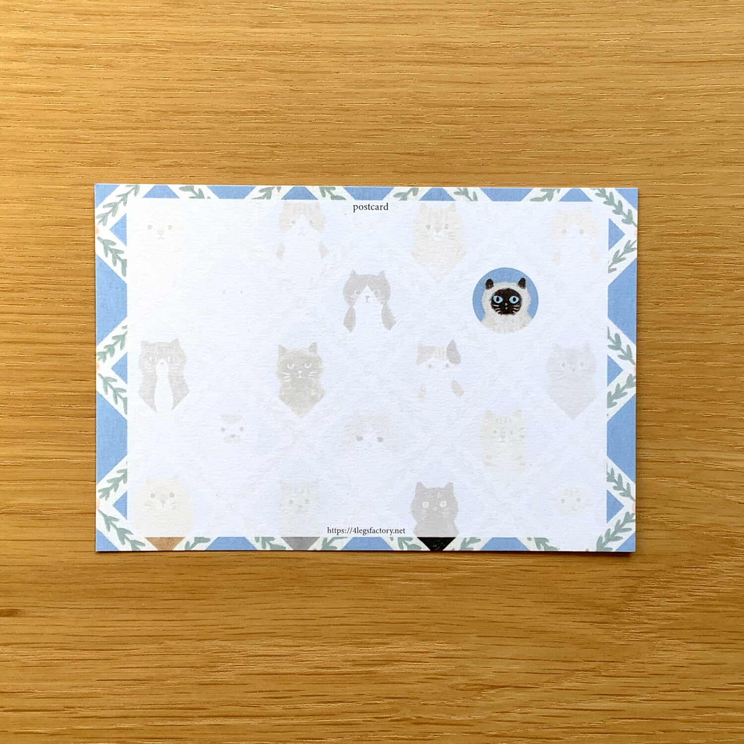 4Legs Postcard: Cat Faces