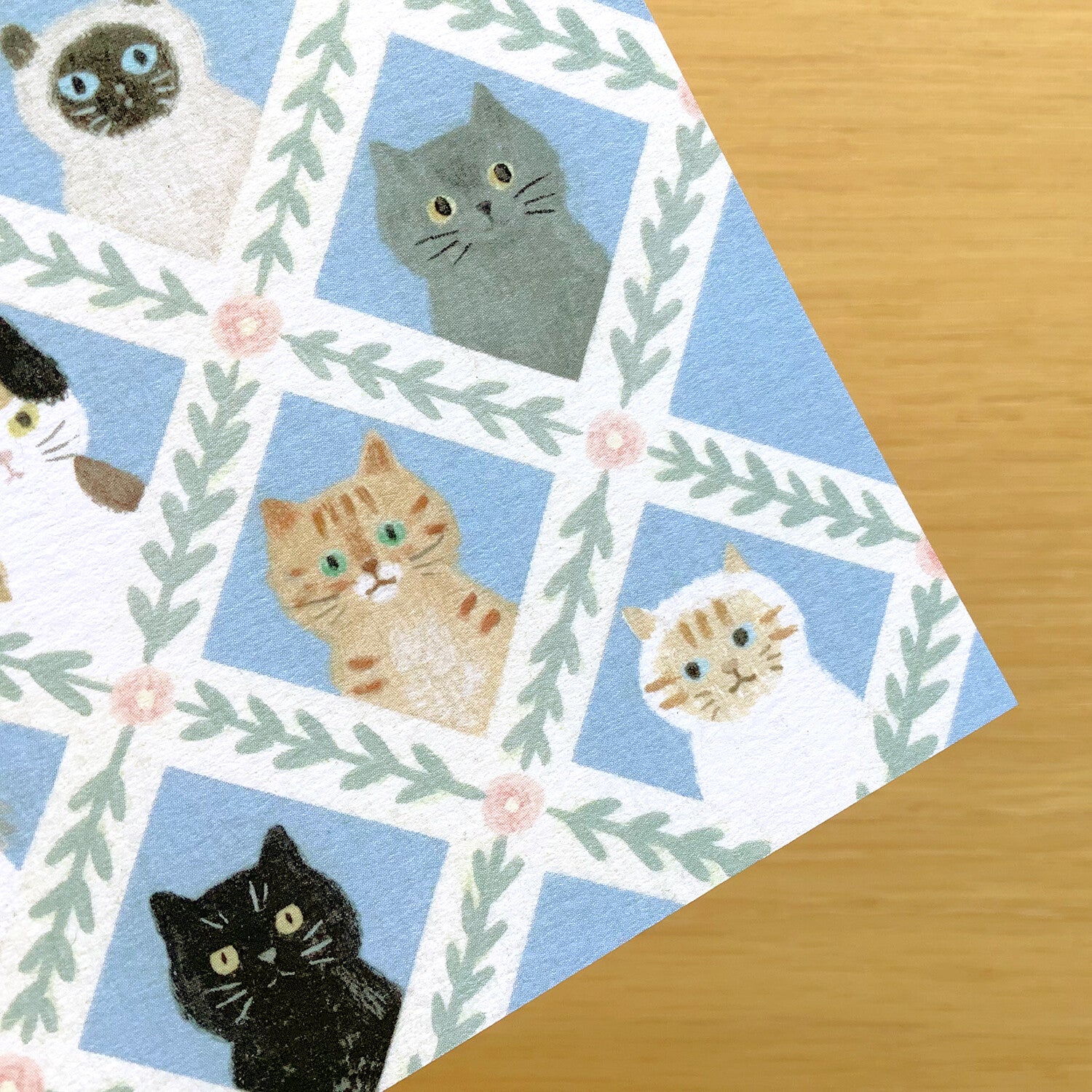 4Legs Postcard: Cat Faces
