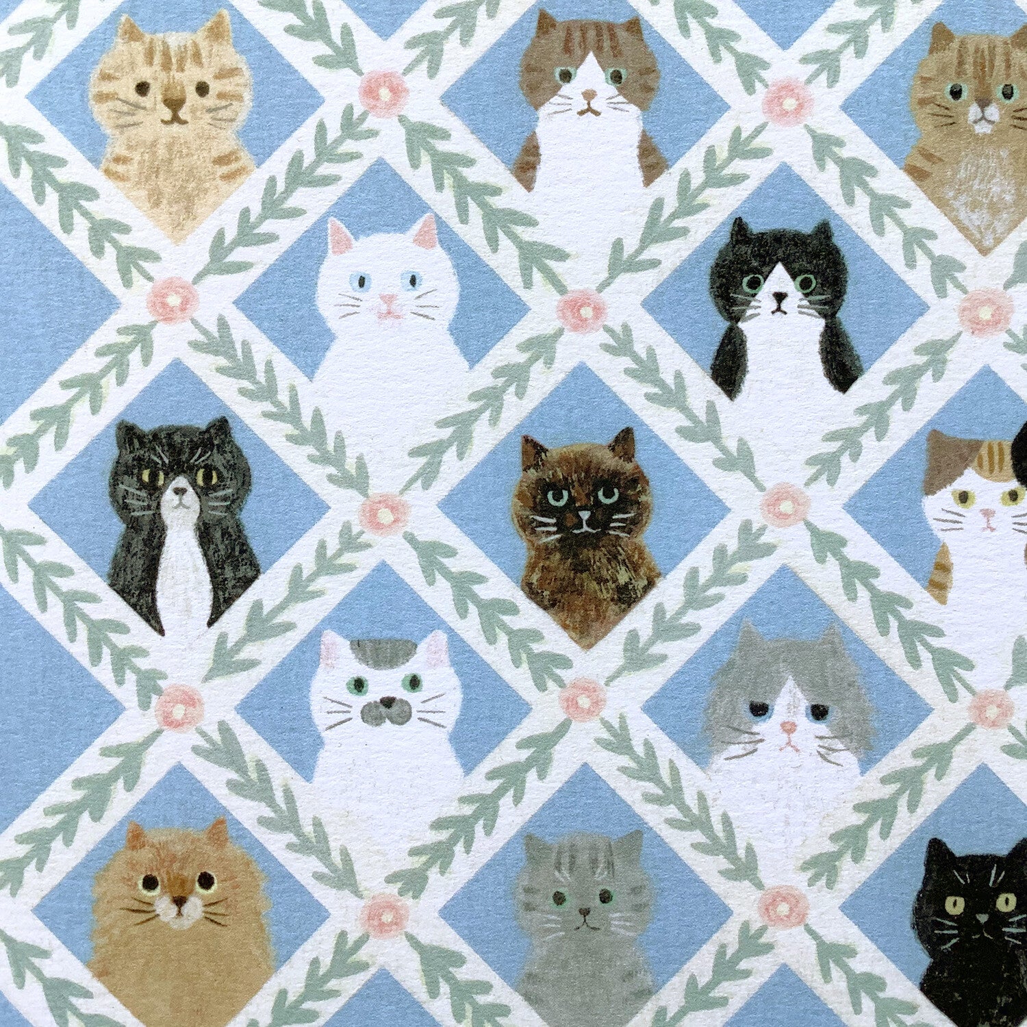 4Legs Postcard: Cat Faces