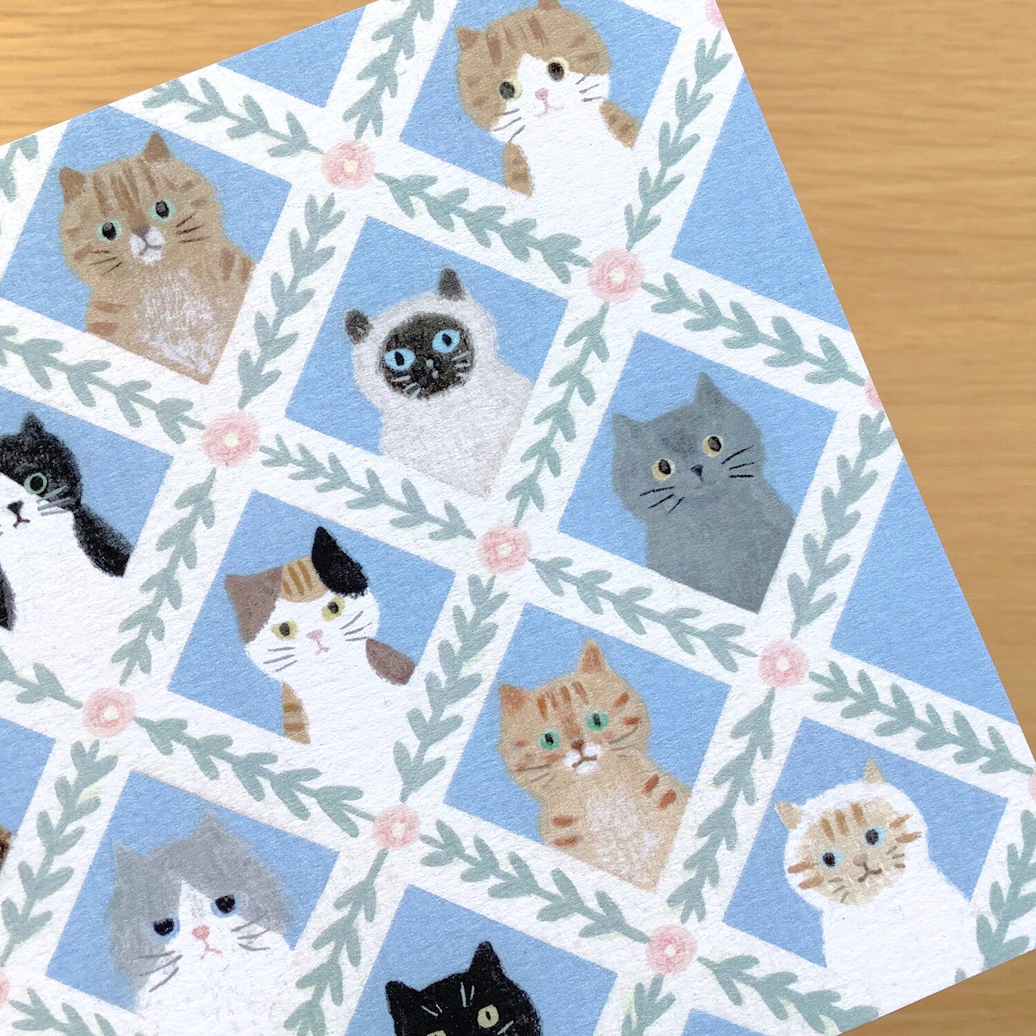 4Legs Postcard: Cat Faces