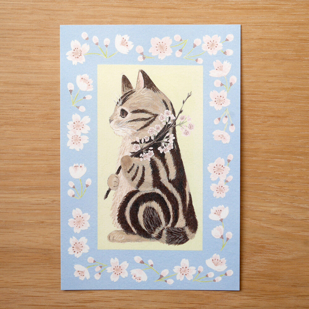 4Legs Postcard: Cat and Cherry Blossom