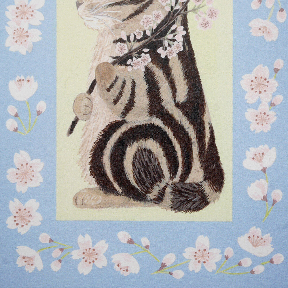4Legs Postcard: Cat and Cherry Blossom