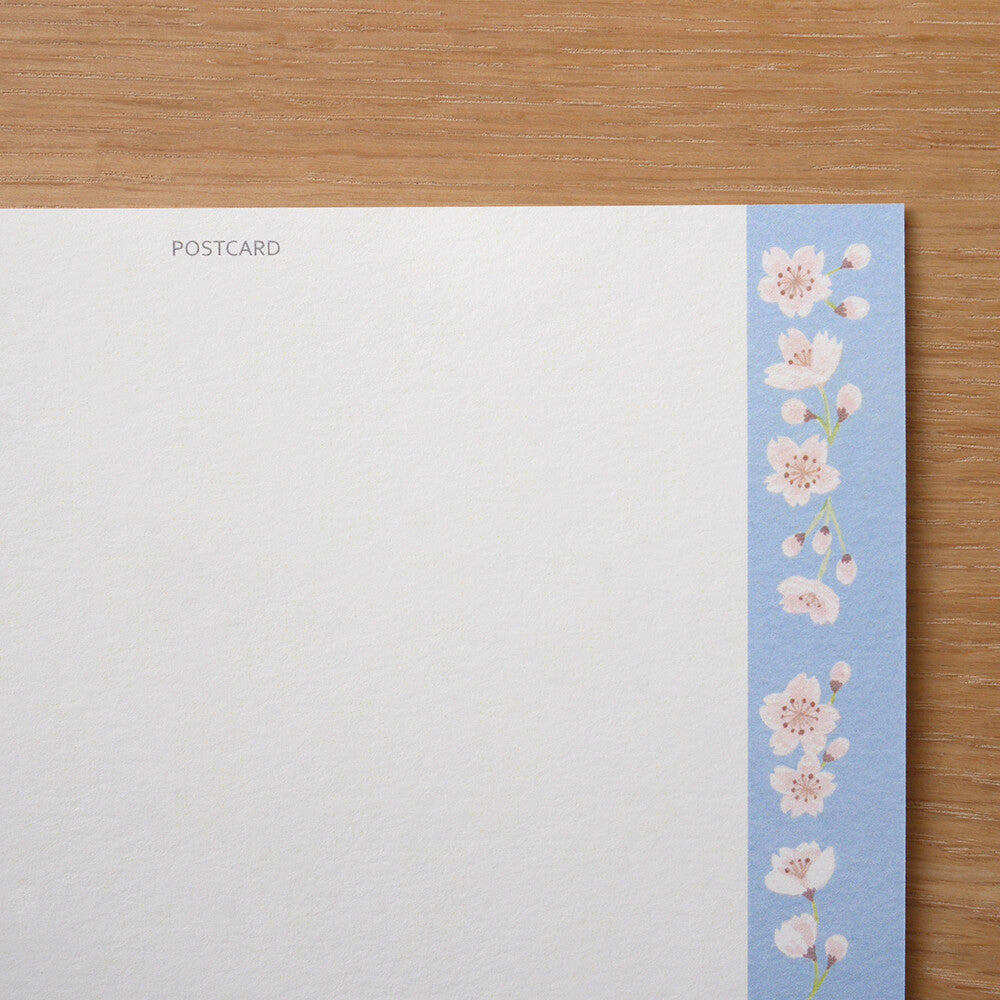 4Legs Postcard: Cat and Cherry Blossom