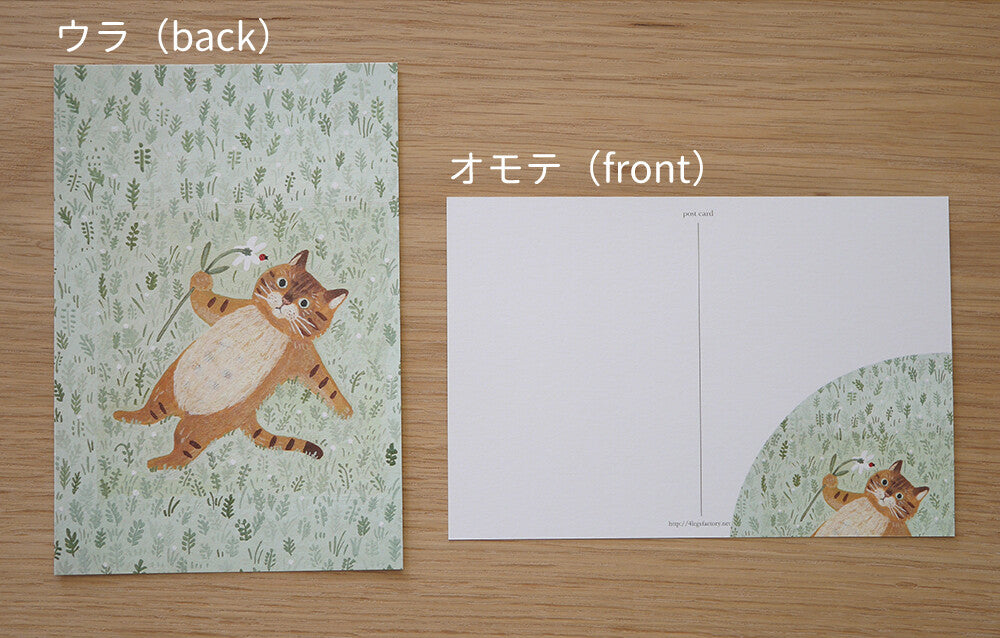 4Legs Postcard: Cat in Grass Field