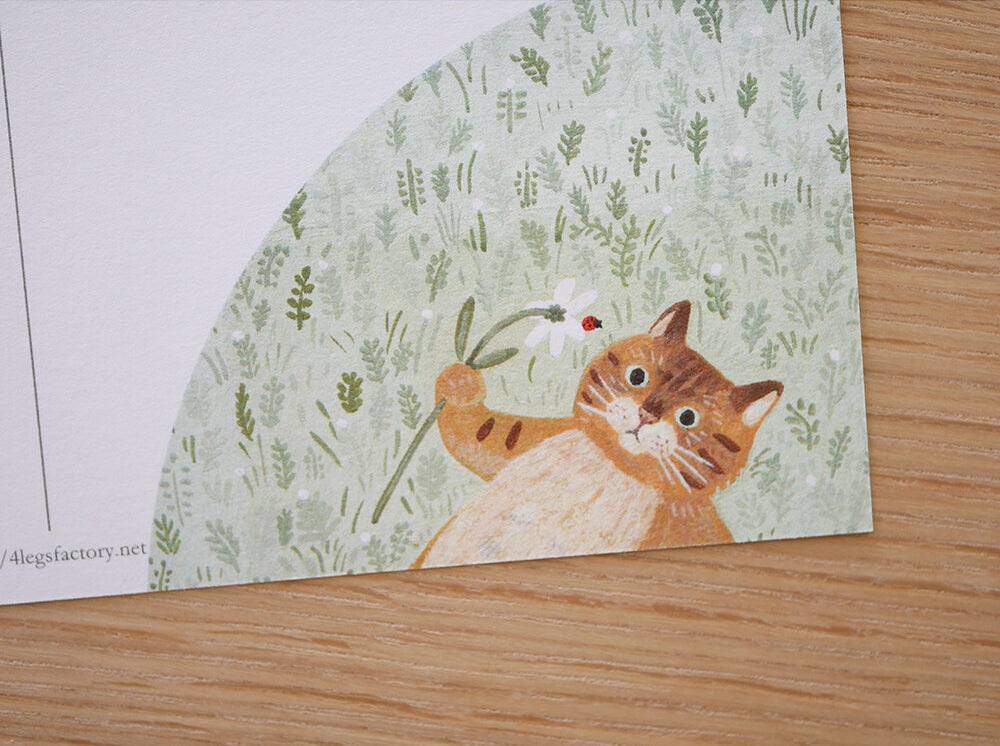4Legs Postcard: Cat in Grass Field