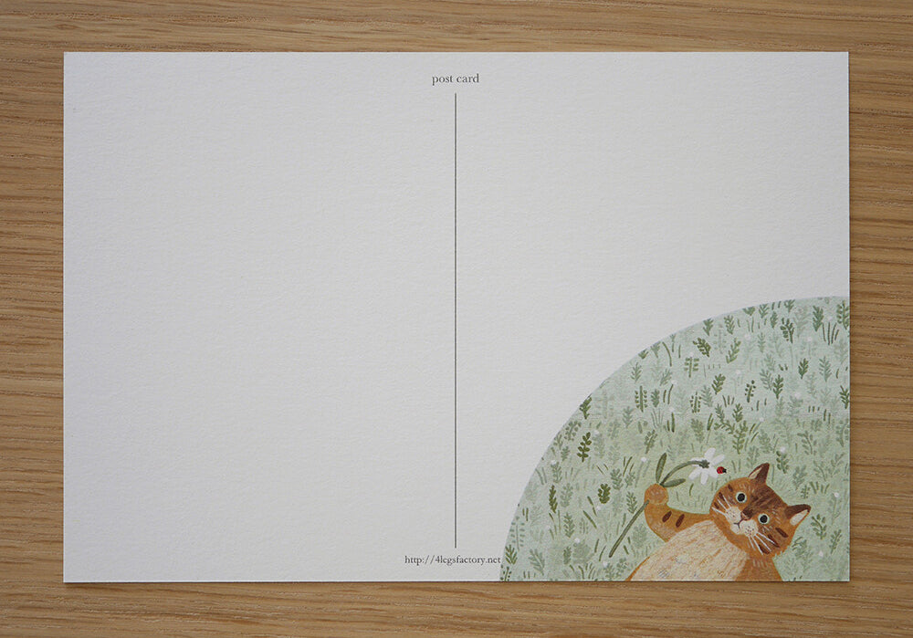 4Legs Postcard: Cat in Grass Field