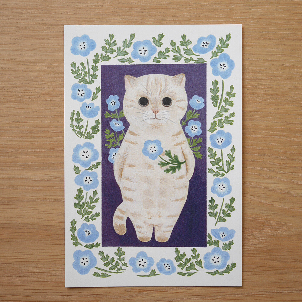 4Legs Postcard: Cream Kitten
