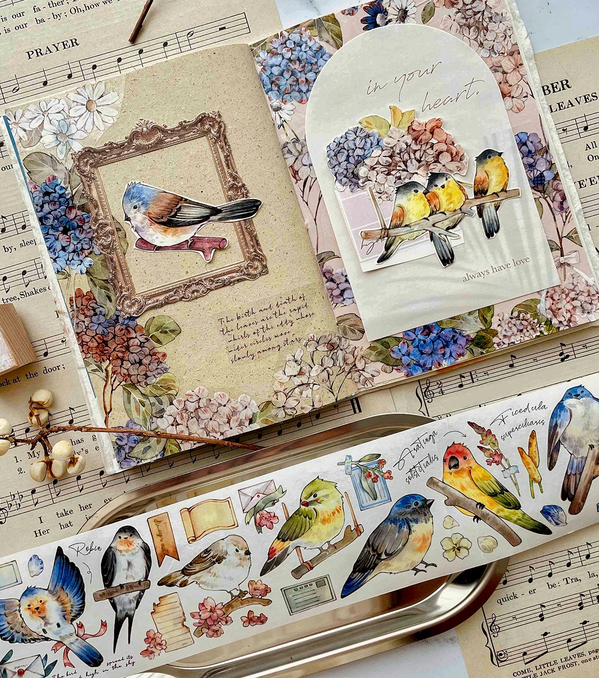 BCJ Masking Tape: Birds Encyclopedia