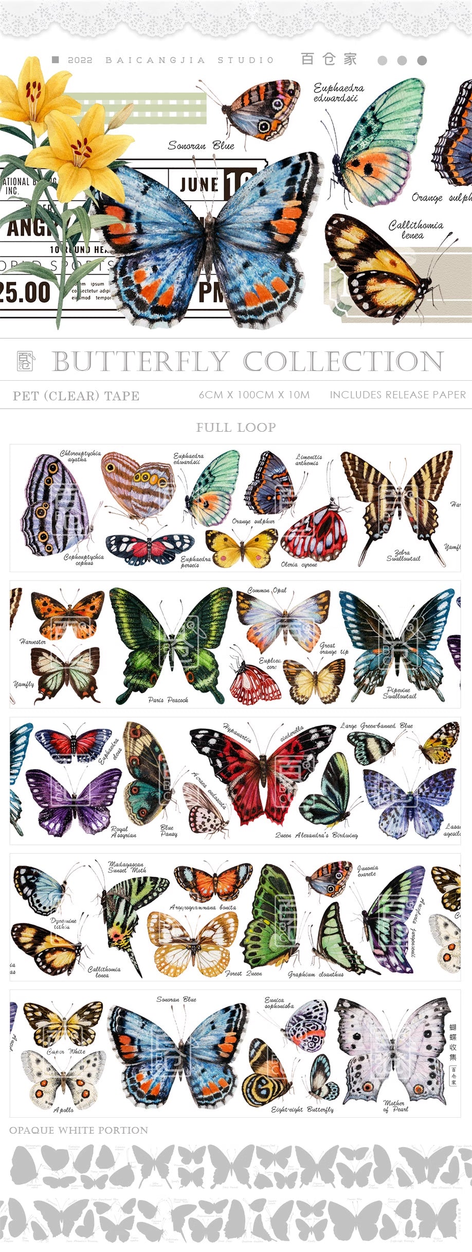 BCJ Masking Tape: Butterfly Collection