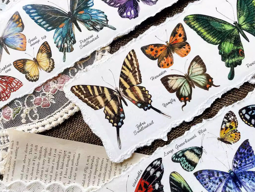 BCJ Masking Tape: Butterfly Collection