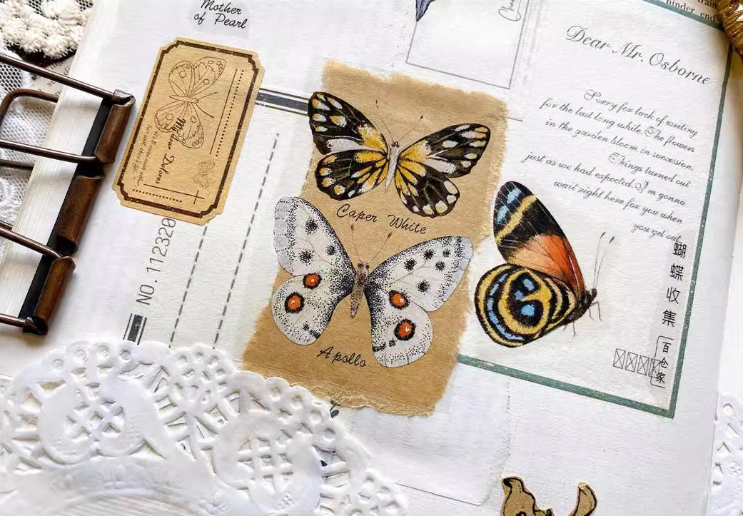 BCJ Masking Tape: Butterfly Collection