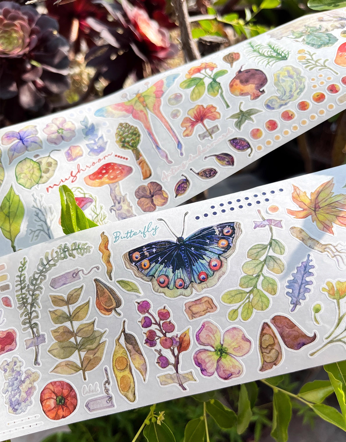 BCJ Sticker Tape: Plants Encyclopedia