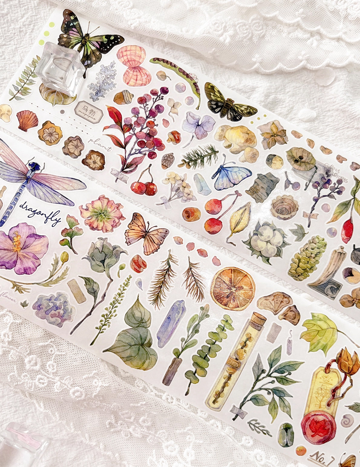 BCJ Sticker Tape: Plants Encyclopedia
