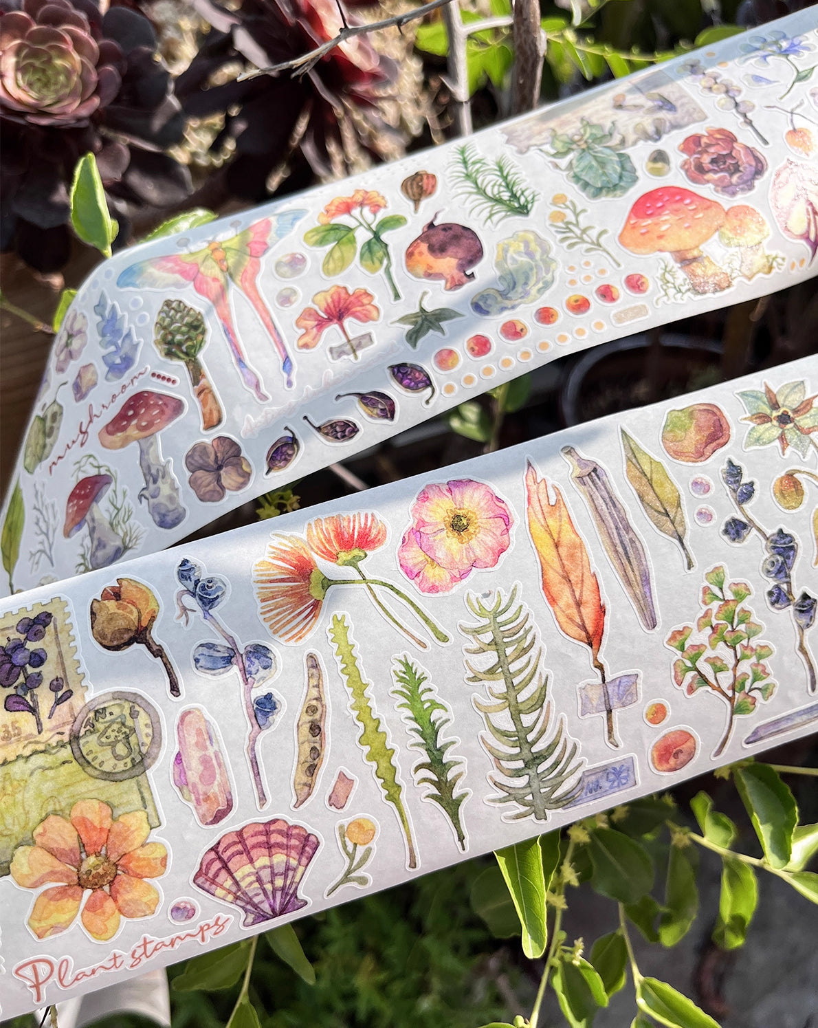 BCJ Sticker Tape: Plants Encyclopedia