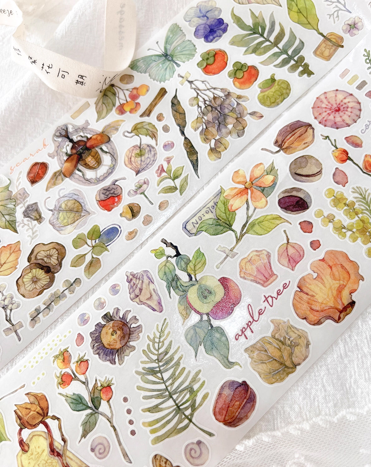 BCJ Sticker Tape: Plants Encyclopedia