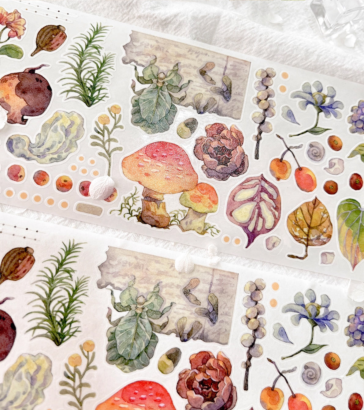 BCJ Sticker Tape: Plants Encyclopedia