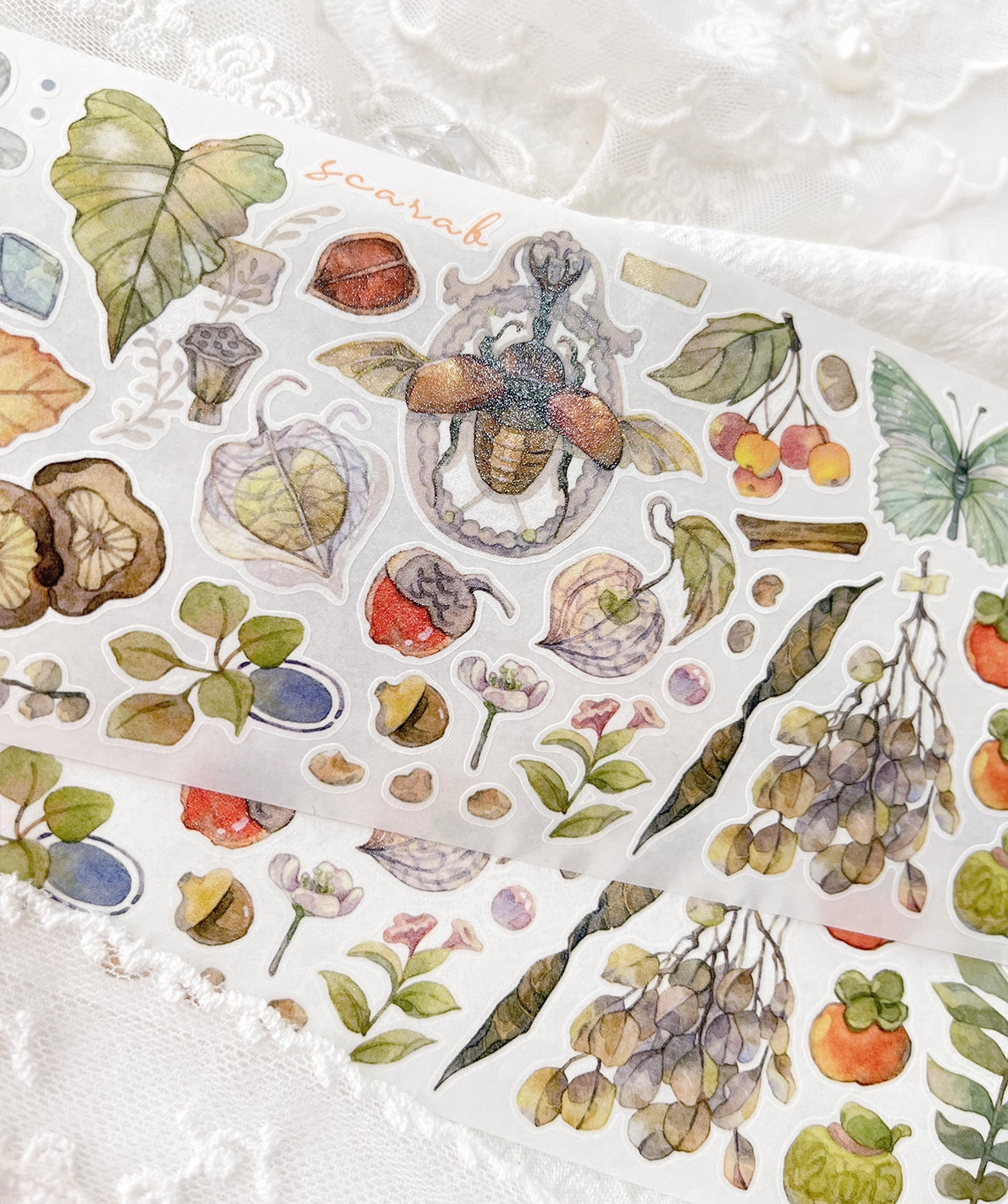 BCJ Sticker Tape: Plants Encyclopedia