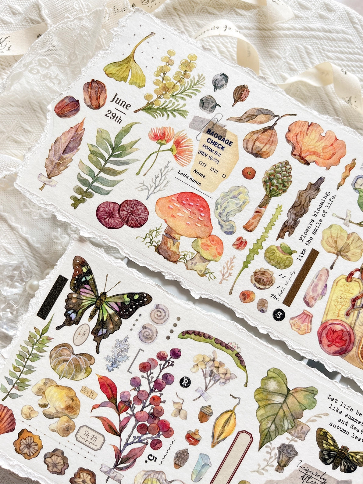 BCJ Sticker Tape: Plants Encyclopedia