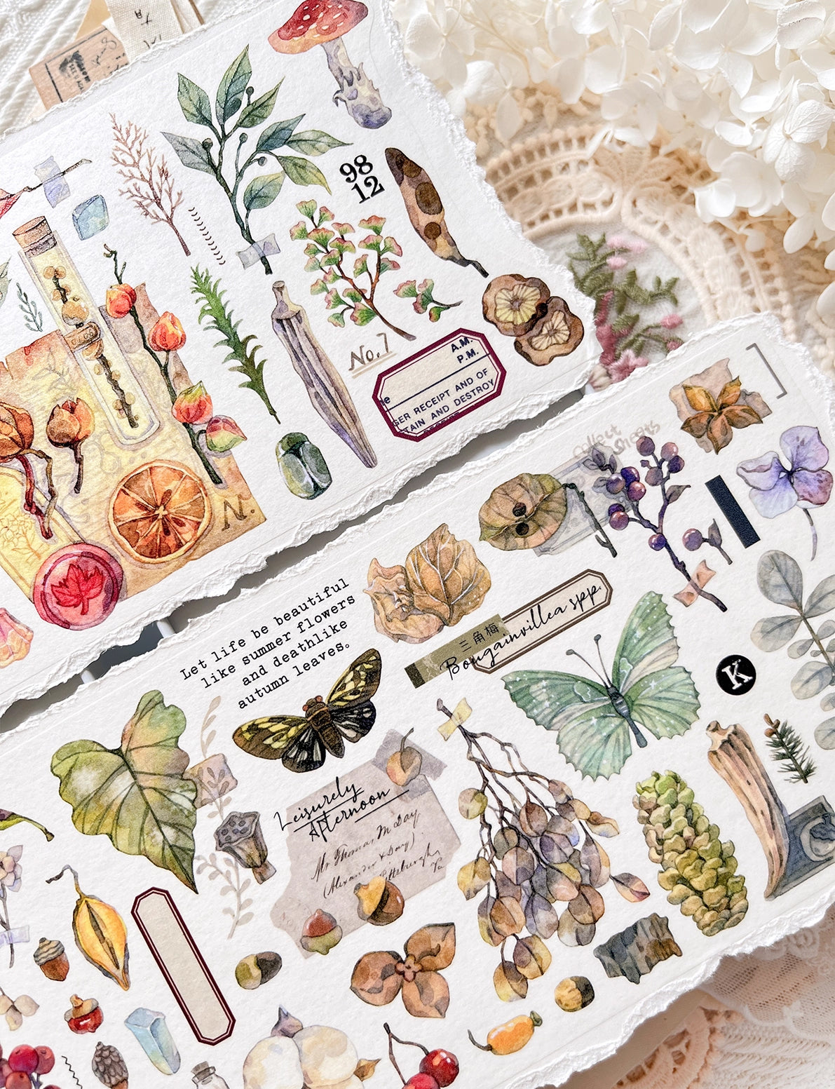 BCJ Sticker Tape: Plants Encyclopedia
