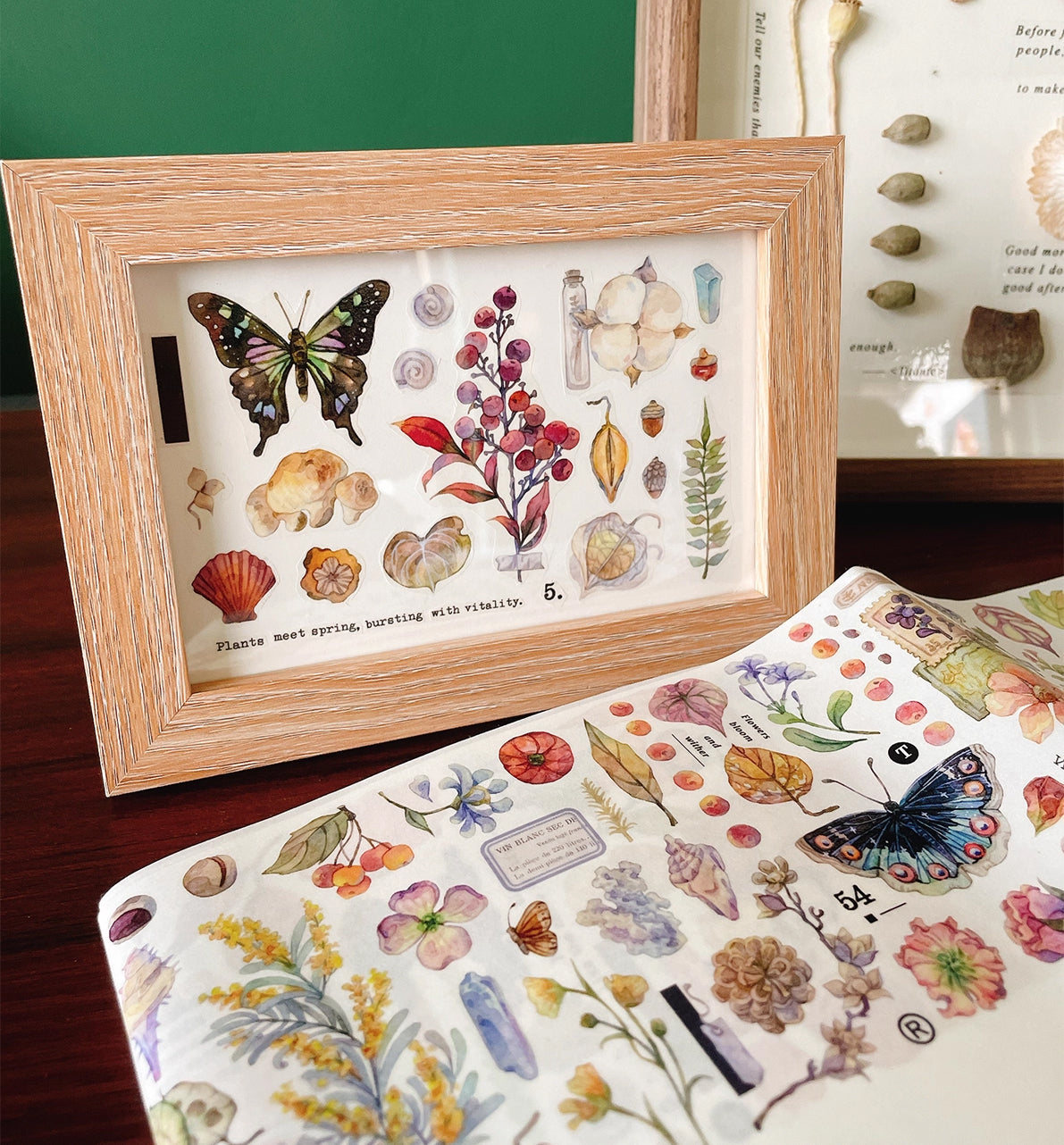 BCJ Sticker Tape: Plants Encyclopedia