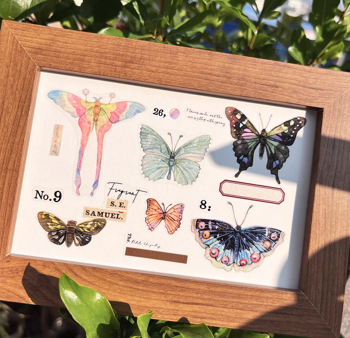 BCJ Sticker Tape: Plants Encyclopedia