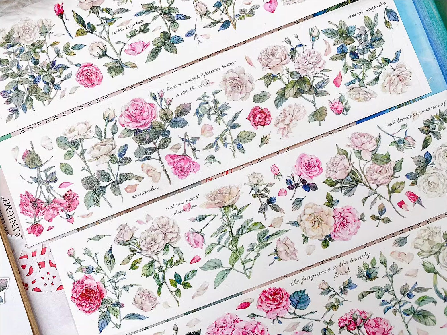 BCJ Masking Tape: White Roses