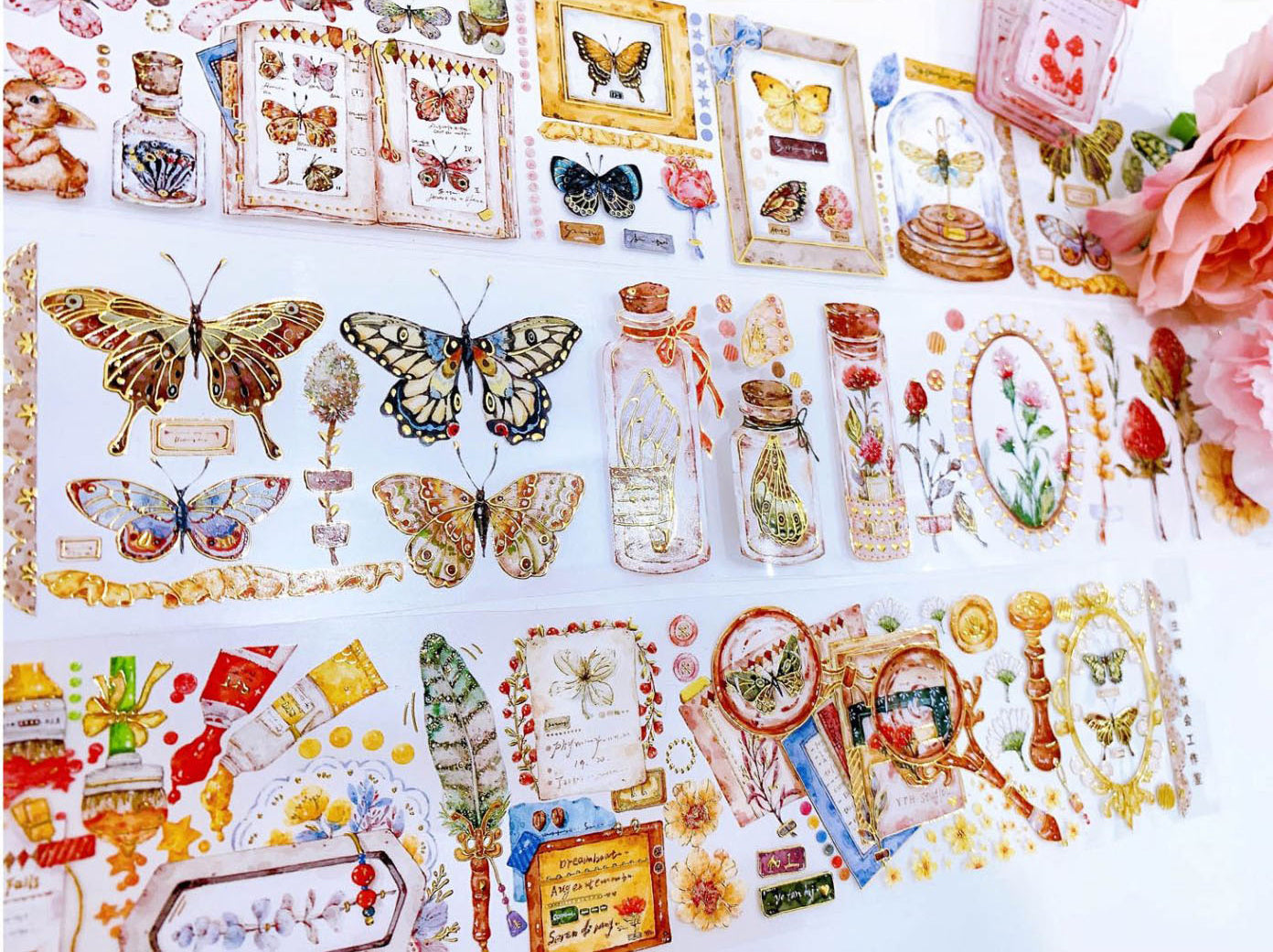 Butterfly Specimen Masking Tape