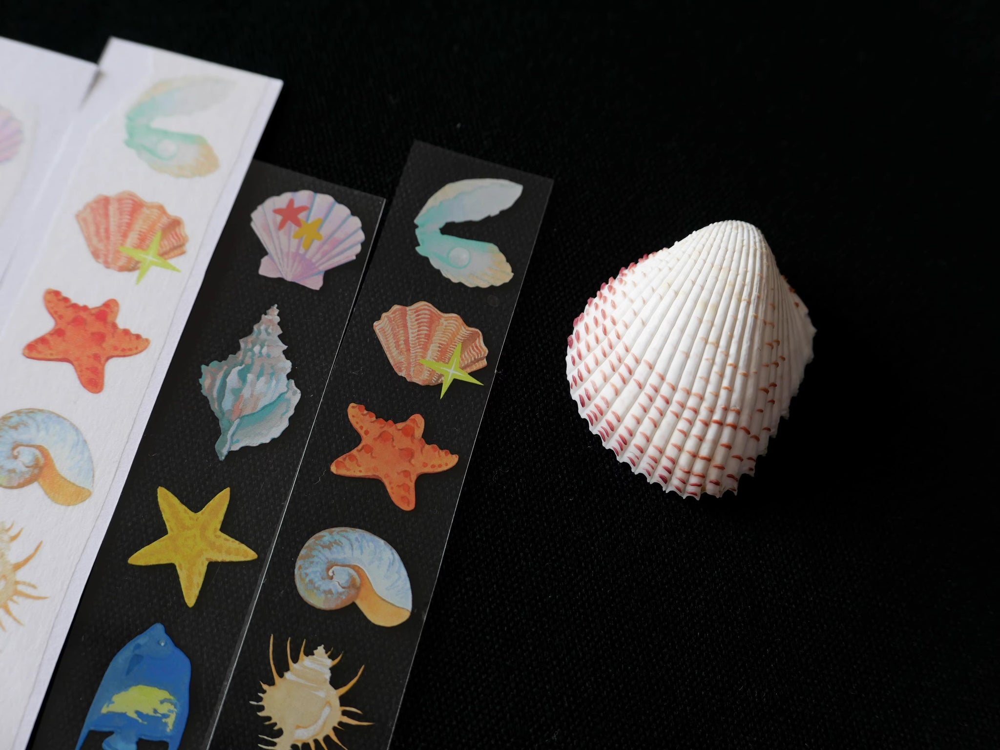 Canopus Stationery Masking Tape: Spring Tide