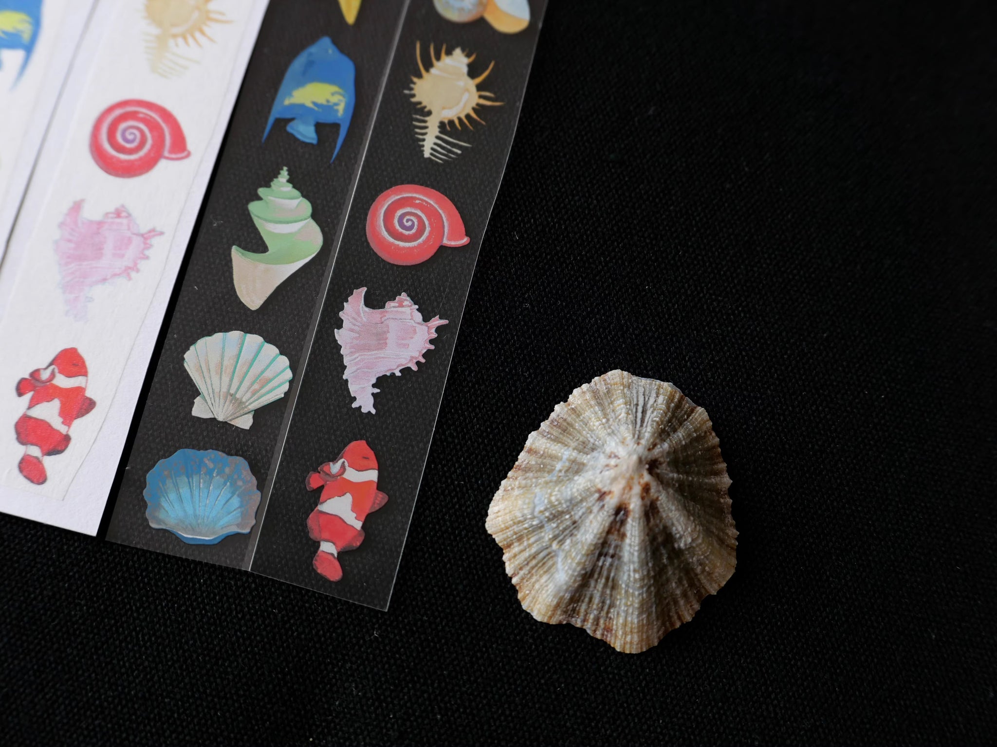 Canopus Stationery Masking Tape: Spring Tide