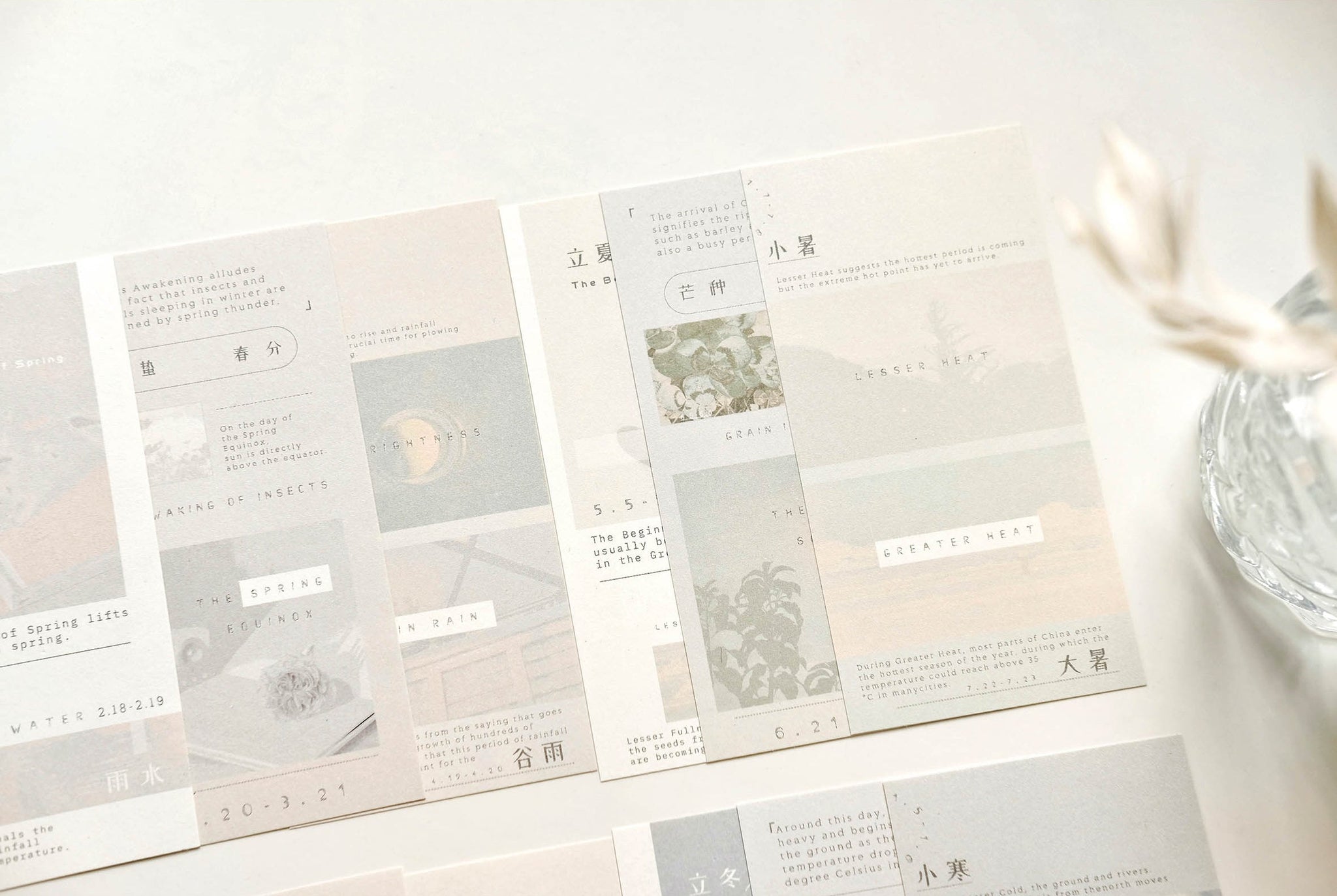 Freckles Tea VOL. 3: Celebration Memo Paper