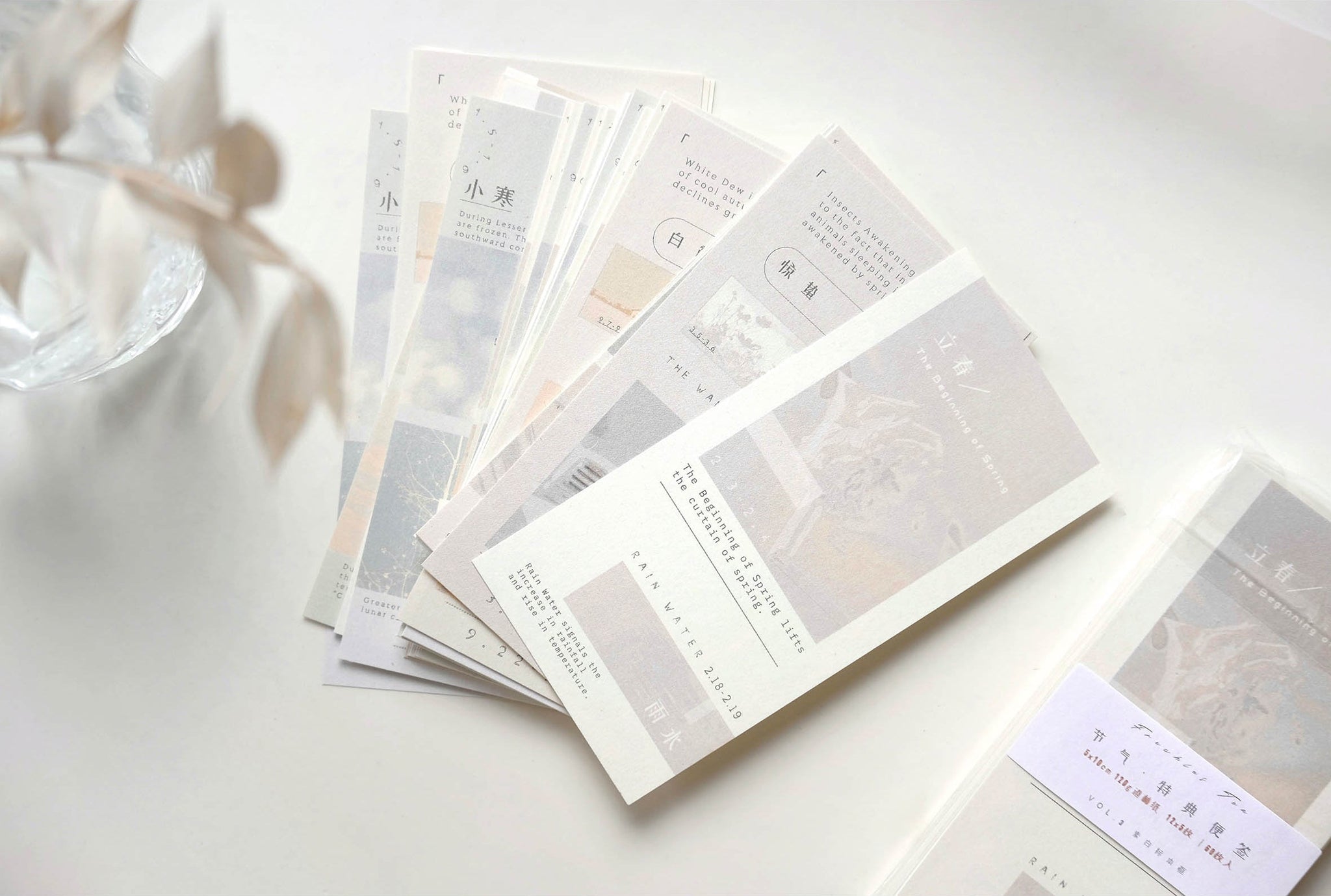 Freckles Tea VOL. 3: Celebration Memo Paper