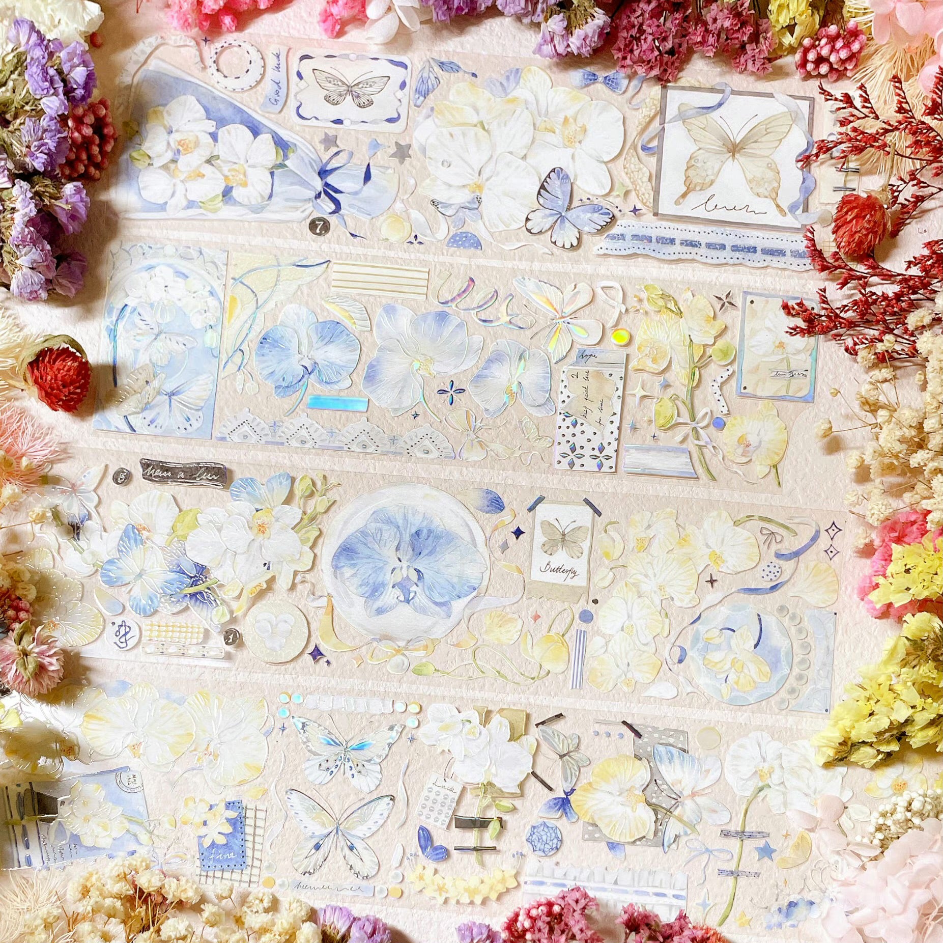 Menu Stationery Masking Tape: Butterfly Orchid