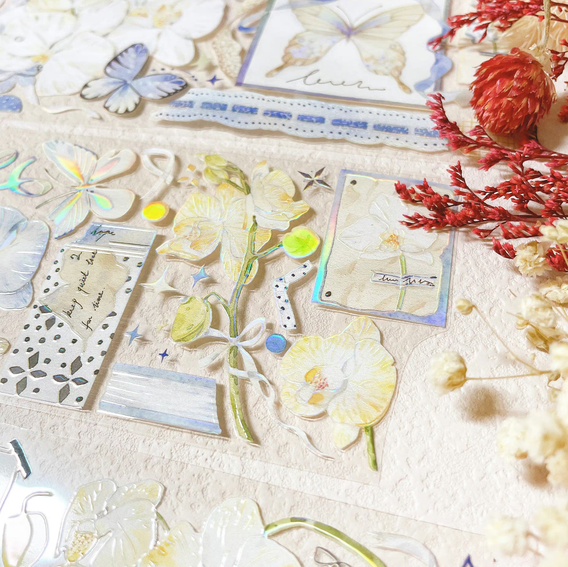 Menu Stationery Masking Tape: Butterfly Orchid