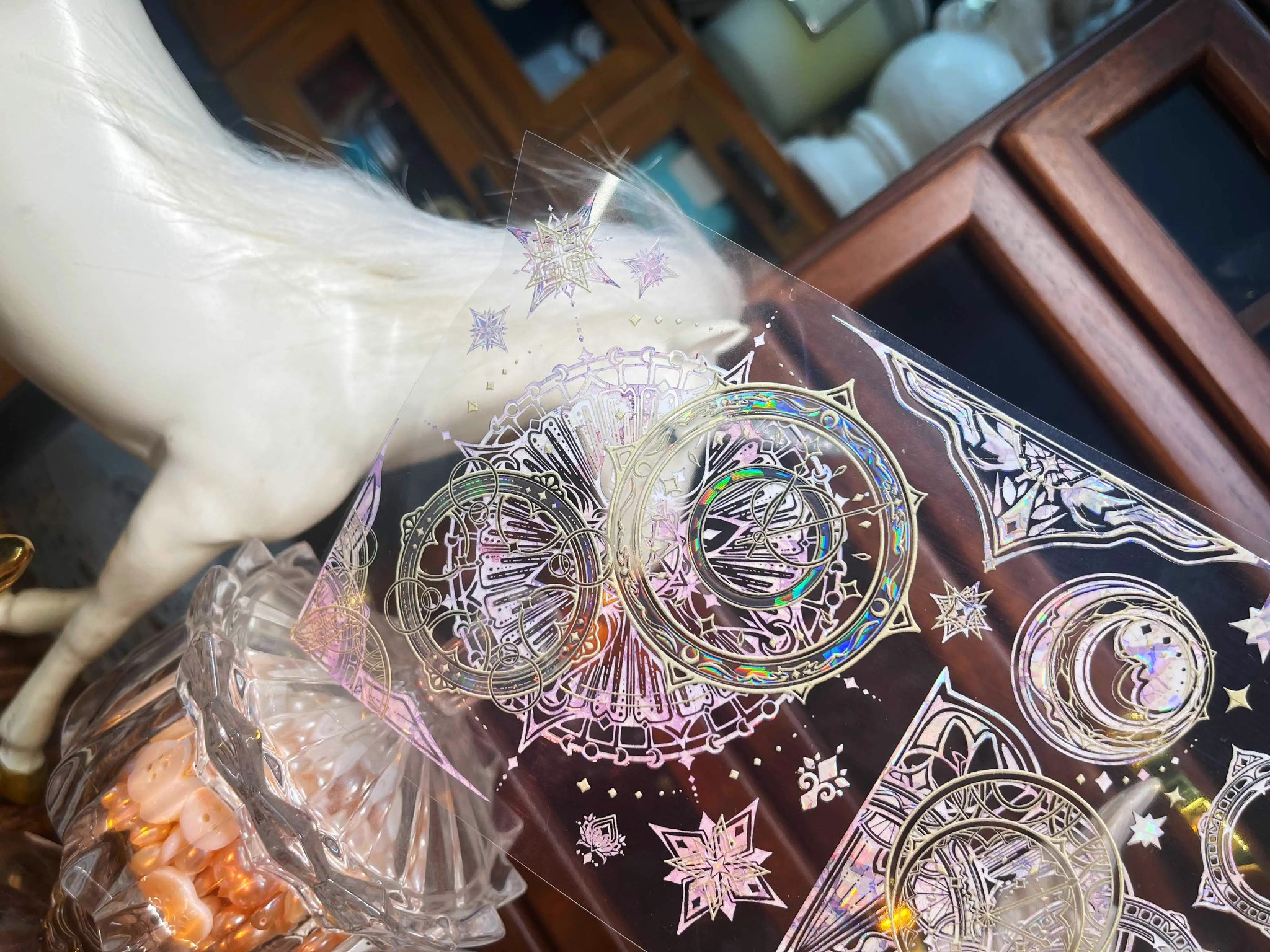 Neverland Clear Tape: Rhapsodic