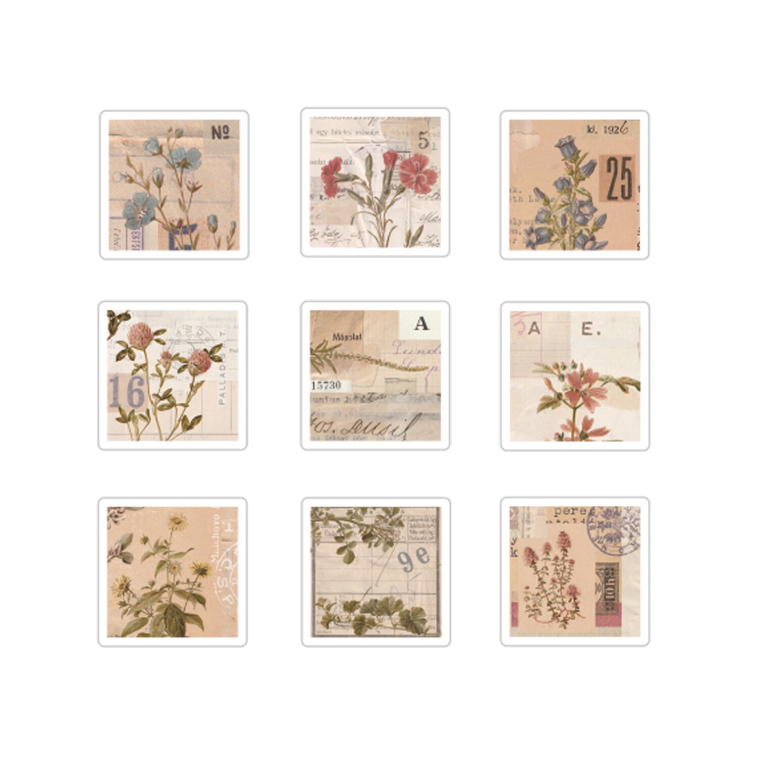 Sunny Sunday x Papier Platz Sticker Pack: Botanical Collage