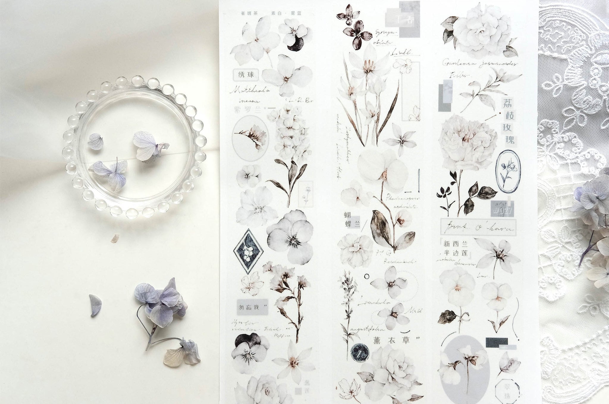 Freckles Tea VOL. 3: Plain White Mist Blue Masking Tape