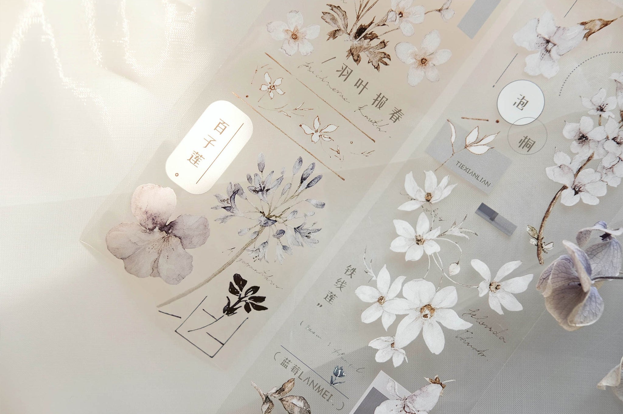 Freckles Tea VOL. 3: Plain White Mist Blue Masking Tape
