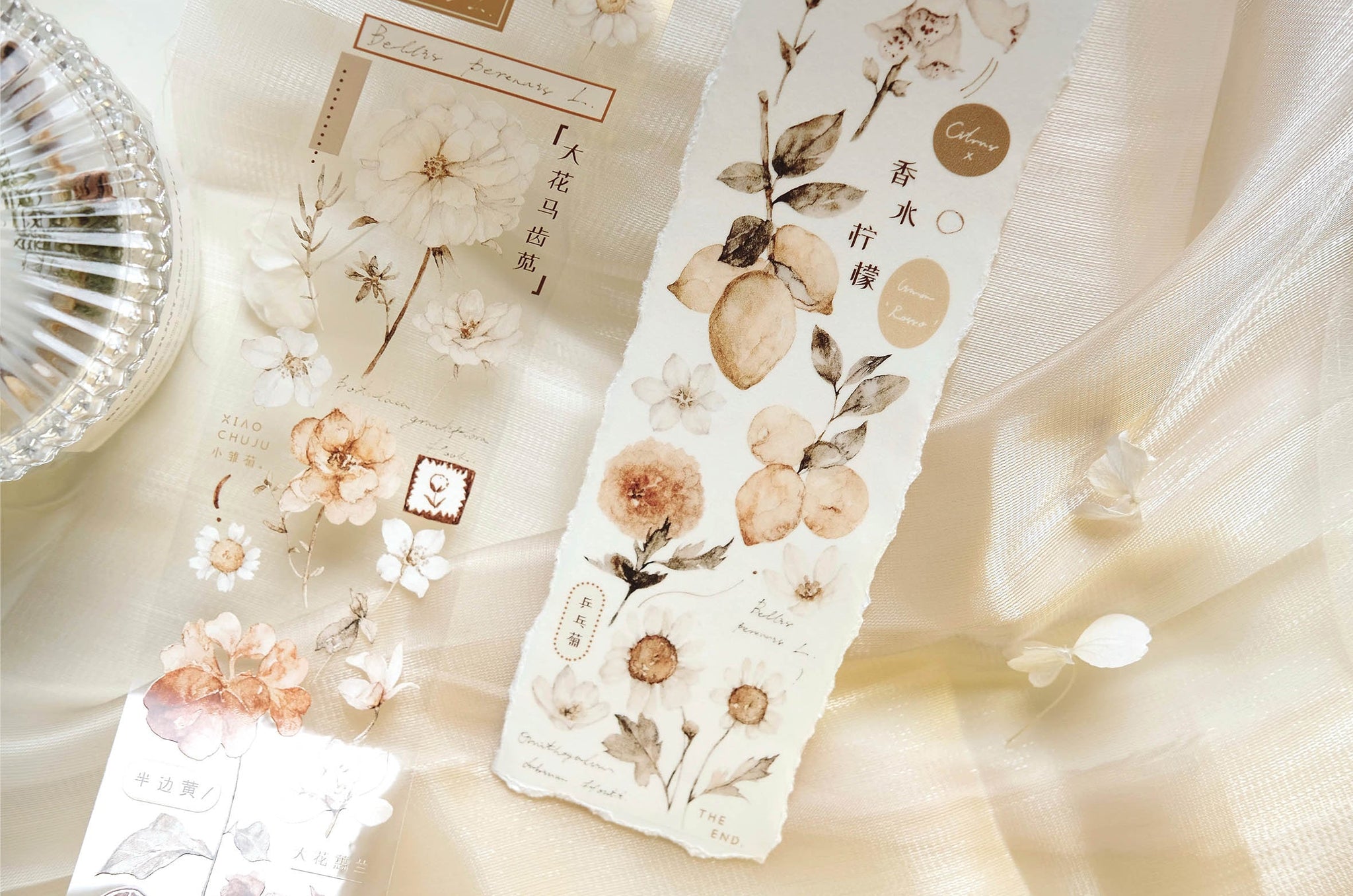 Freckles Tea VOL. 3: Plain White Tea Brown Masking Tape