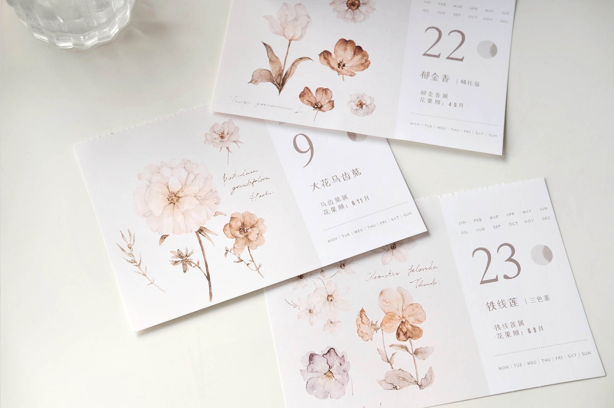 Freckles Tea VOL. 3: Plants Calendar