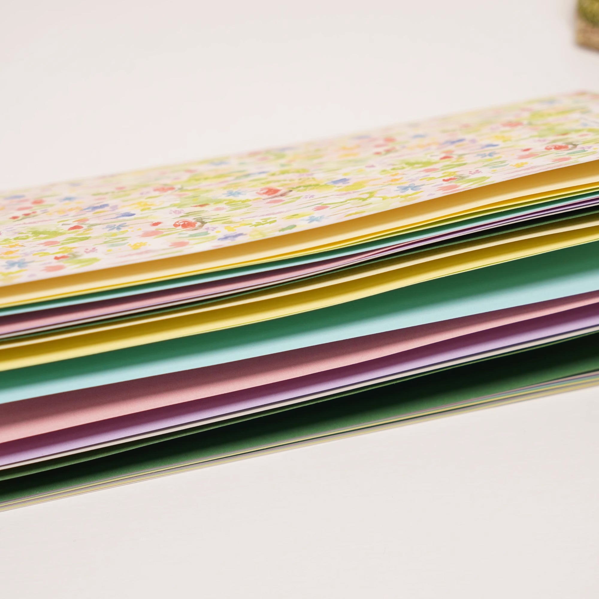 Wanle Studio Traveler's Notebook Insert: Season 10